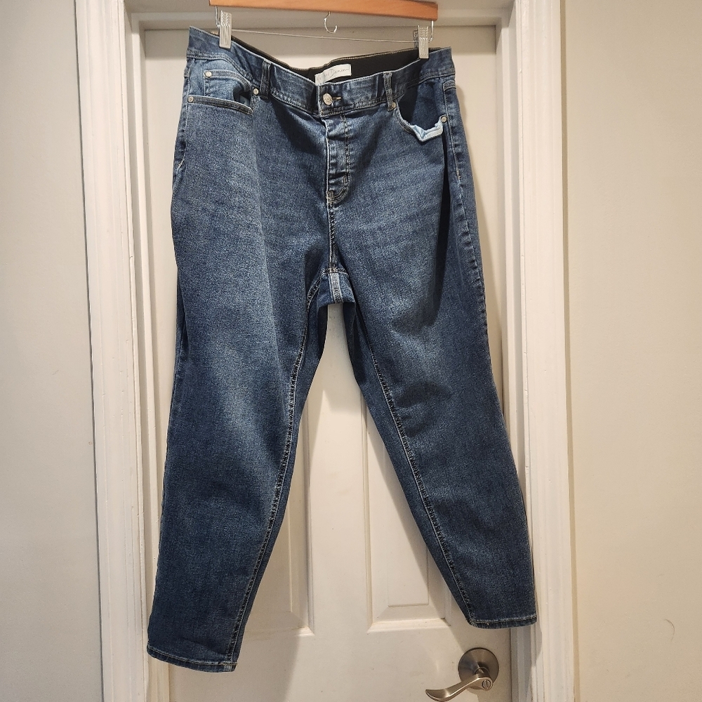 Cato 20W Petite Mid Rise Stretch Denim Jeans Women's Plus Size 20WP Blue